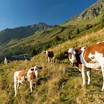 Thurn-ummerstall Apartment Hollersbach im Pinzgau