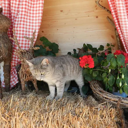Lägenhet Thurn-ummerstall