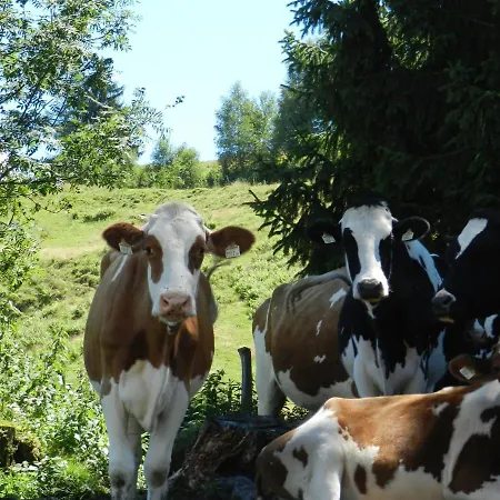 Thurn-ummerstall Apartmán Hollersbach im Pinzgau