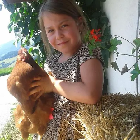 아파트 Thurn-ummerstall