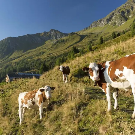 Thurn-ummerstall 아파트 *