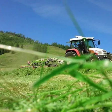 Thurn-ummerstall Hollersbach im Pinzgau