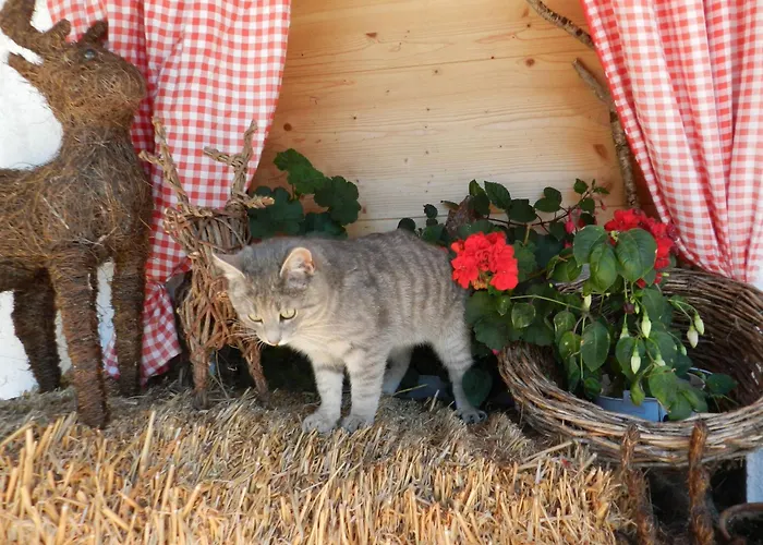 Lägenhet Thurn-ummerstall