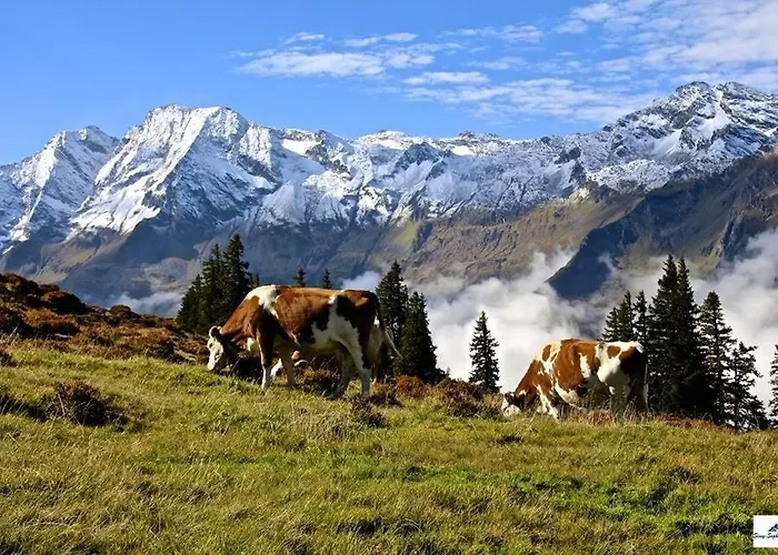 Lägenhet Thurn-ummerstall *