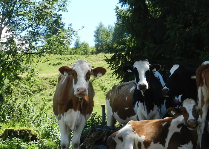 Thurn-ummerstall Lägenhet Hollersbach im Pinzgau