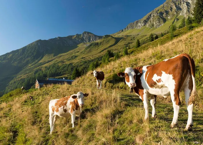 Thurn-ummerstall Lägenhet Hollersbach im Pinzgau