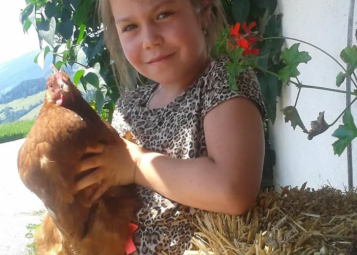 Lägenhet Thurn-ummerstall Hollersbach im Pinzgau