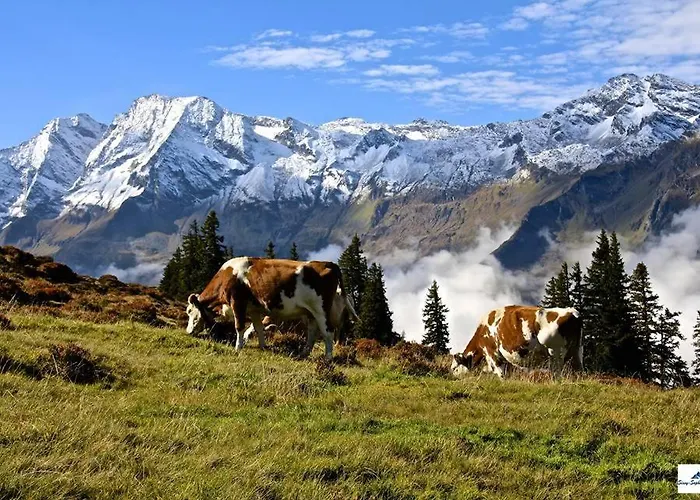 Thurn-ummerstall