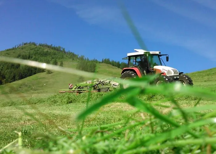 Thurn-ummerstall Hollersbach im Pinzgau